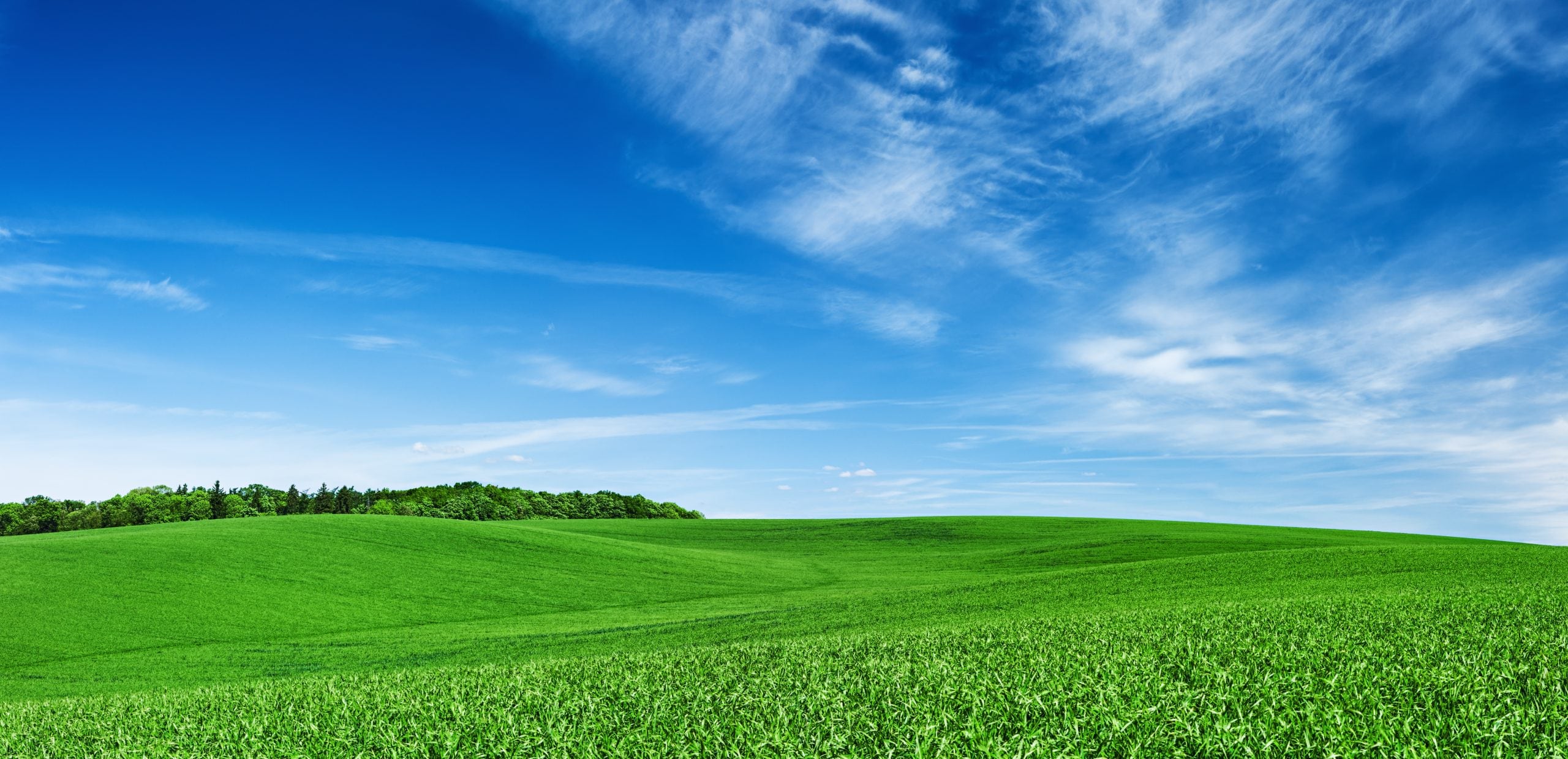 KAITEKI in Action: Our Shared Commitment to Sustainable Progress